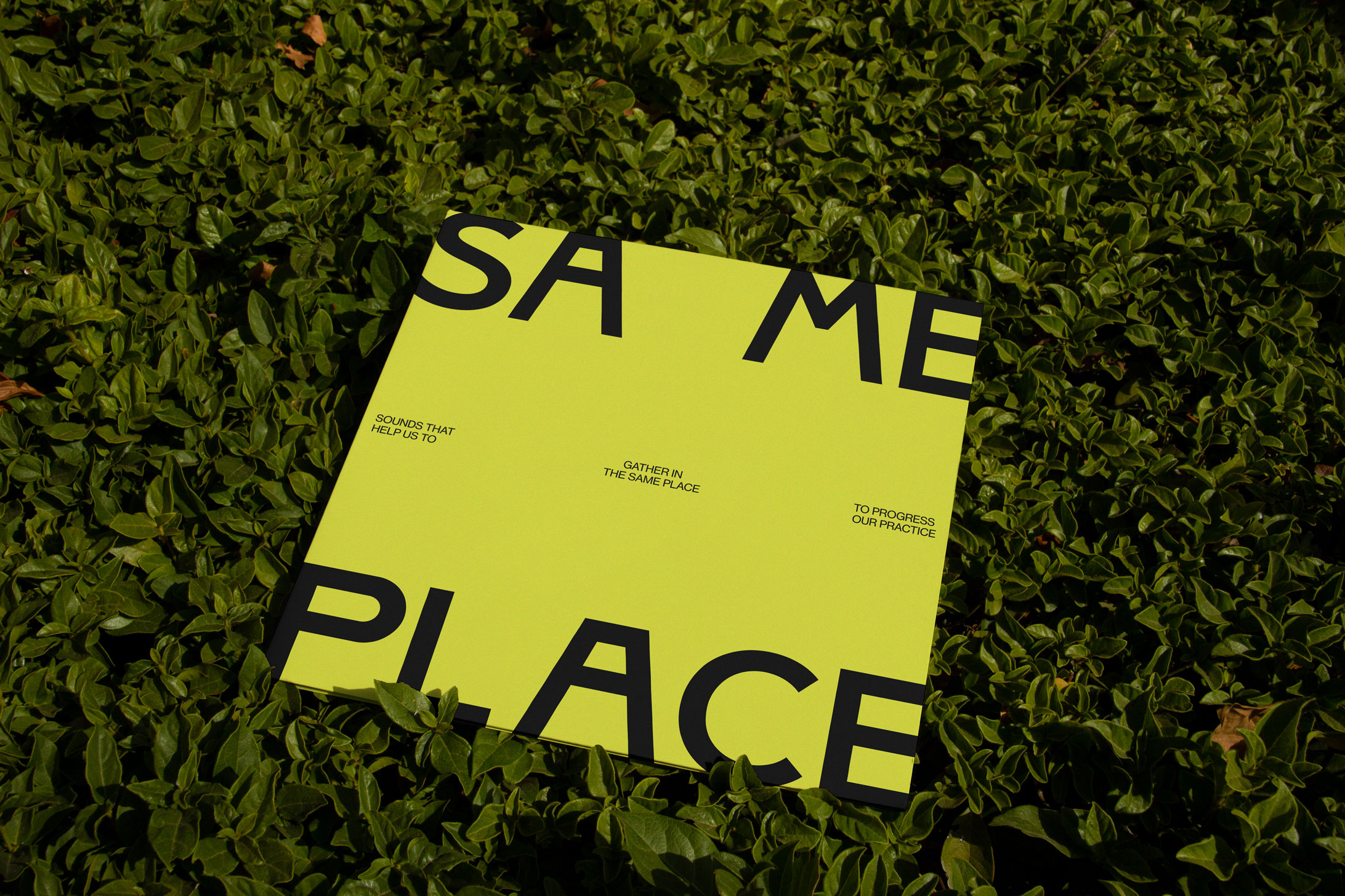 SAMEPLACE-Vinyl